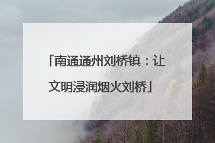 南通通州刘桥镇：让文明浸润烟火刘桥